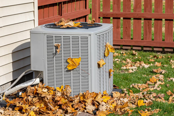 Best HVAC maintenance near me  in Oelwein, IA